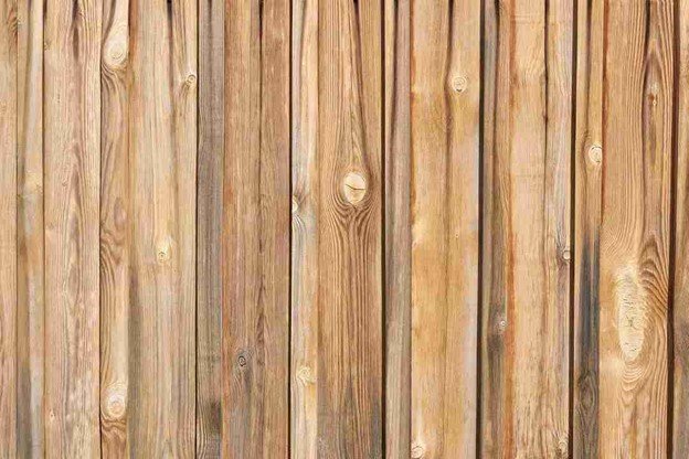 Close-up view of a tall pressure-treated pine fence with visible wood grain